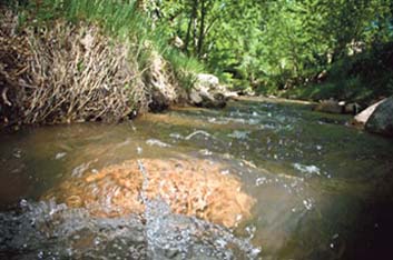 Santa Fe River